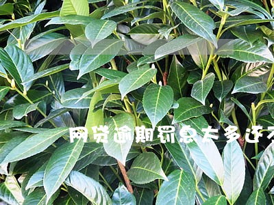 网贷逾期罚息太多还不起怎么办 网贷逾期罚息太多还不起怎么办