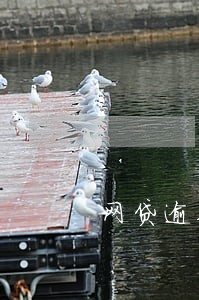 网贷逾期罚息太高了怎么办 网贷逾期罚息太高了怎么办