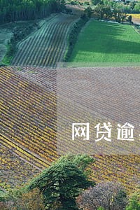 网贷逾期罚息必须要交么 网贷逾期罚息必须要交么