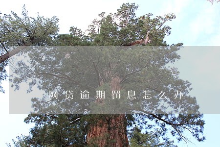 网贷逾期罚息怎么办 网贷逾期罚息怎么办