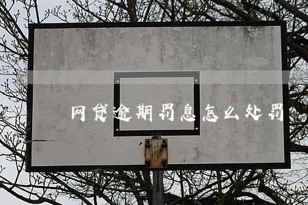 网贷逾期罚息怎么处罚 网贷逾期罚息怎么处罚