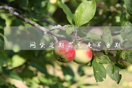 网贷逾期罚息是算当期 网贷逾期罚息是算当期