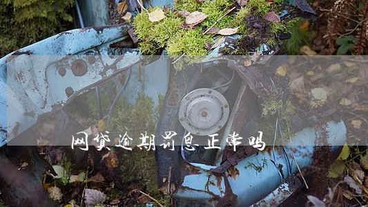 网贷逾期罚息正常吗 网贷逾期罚息正常吗