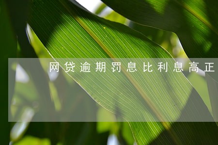 网贷逾期罚息比利息高正常吗 网贷逾期罚息比利息高正常吗