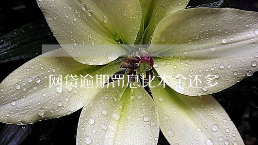 网贷逾期罚息比本金还多 网贷逾期罚息比本金还多