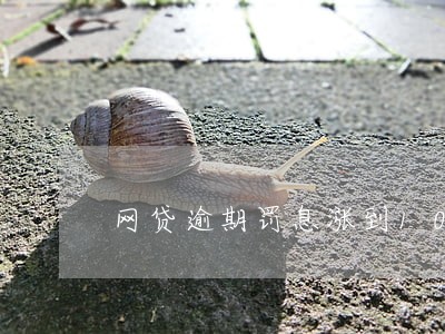 网贷逾期罚息涨到10万 网贷逾期罚息涨到10万
