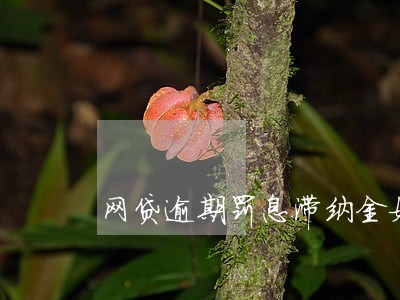 网贷逾期罚息滞纳金如何处理 网贷逾期罚息滞纳金如何处理