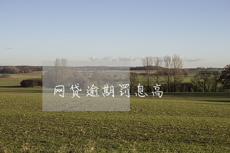 网贷逾期罚息高 网贷逾期罚息高