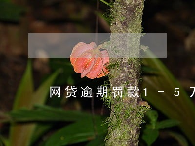 网贷逾期罚款1-5万 网贷逾期罚款1-5万
