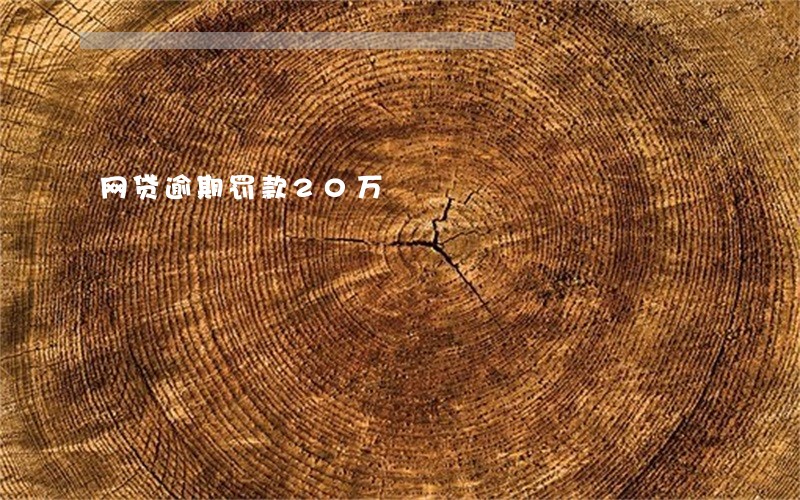 网贷逾期罚款20万 网贷逾期罚款20万