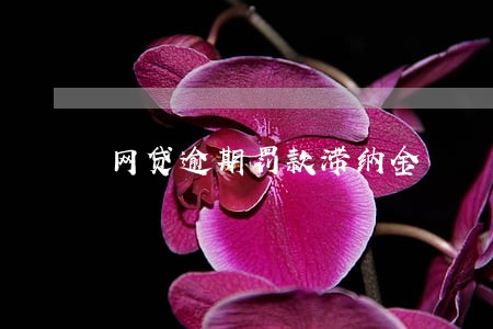 网贷逾期罚款滞纳金 网贷逾期罚款滞纳金