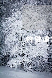 网贷逾期罚款算年利息吗 网贷逾期罚款算年利息吗