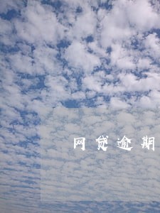 网贷逾期罚金有规定标准吗 网贷逾期罚金有规定标准吗