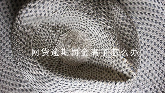 网贷逾期罚金高了怎么办 网贷逾期罚金高了怎么办