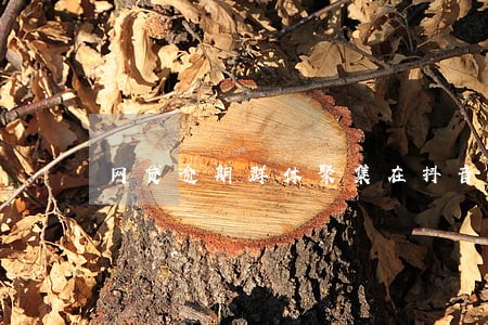 网贷逾期群体聚集在抖音 网贷逾期群体聚集在抖音