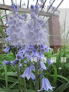 网贷逾期群发借款 网贷逾期群发借款
