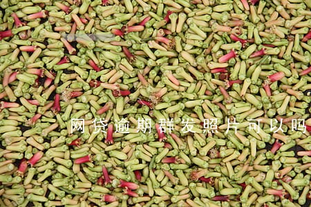 网贷逾期群发照片可以吗 网贷逾期群发照片可以吗