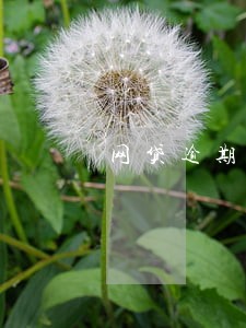 网贷逾期群发通话记录 网贷逾期群发通话记录