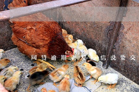 网贷逾期老发短信说要交司法