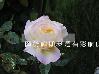 网贷逾期老婆有影响吗 网贷逾期老婆有影响吗