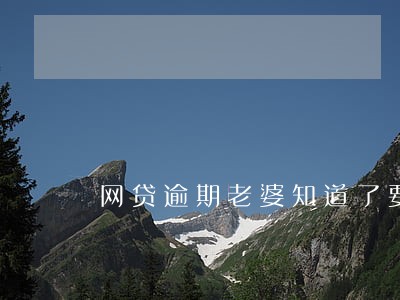 网贷逾期老婆知道了要离婚