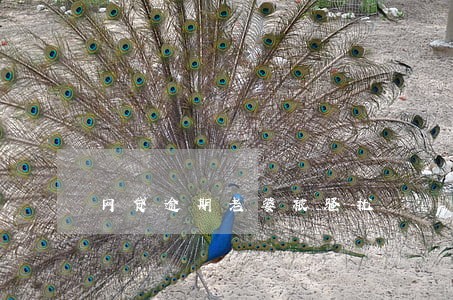 网贷逾期老婆被骚扰 网贷逾期老婆被骚扰