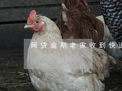 网贷逾期老家收到快递 网贷逾期老家收到快递