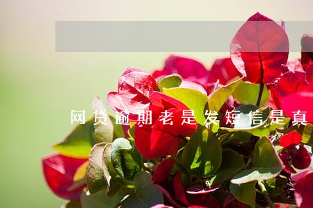网贷逾期老是发短信是真的吗 网贷逾期老是发短信是真的吗