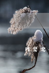网贷逾期老是叫我去做笔录 网贷逾期老是叫我去做笔录