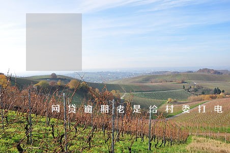 网贷逾期老是给村委打电话 网贷逾期老是给村委打电话