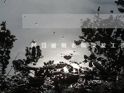 网贷逾期老板没发工资 网贷逾期老板没发工资
