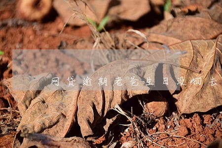 网贷逾期老爸生日没回去怎么说 网贷逾期老爸生日没回去怎么说