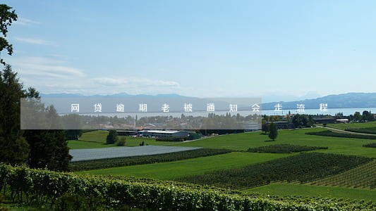 网贷逾期老被通知会走流程 网贷逾期老被通知会走流程
