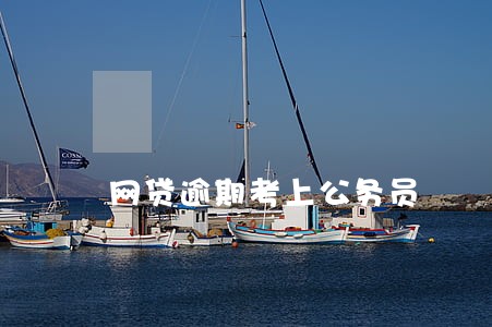 网贷逾期考上公务员