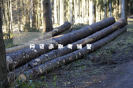 网贷逾期考辅警 网贷逾期考辅警
