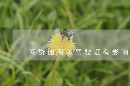 网贷逾期考驾驶证有影响吗 网贷逾期考驾驶证有影响吗