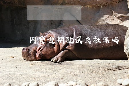 网贷逾期耽误交社保吗 网贷逾期耽误交社保吗