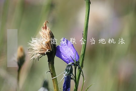 网贷逾期联合当地执法 网贷逾期联合当地执法
