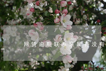 网贷逾期联系亲属有没有影响 网贷逾期联系亲属有没有影响
