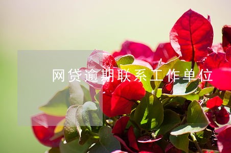 网贷逾期联系工作单位 网贷逾期联系工作单位