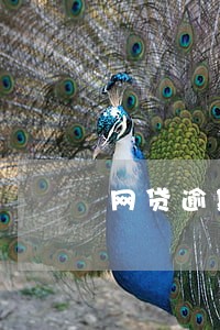 网贷逾期联系户籍地 网贷逾期联系户籍地