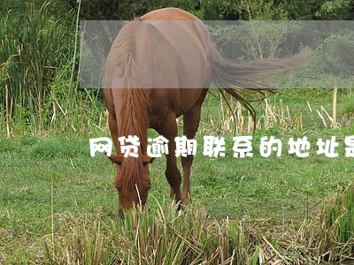 网贷逾期联系的地址是哪个地址 网贷逾期联系的地址是哪个地址