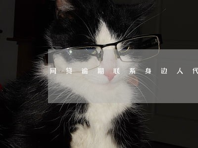 网贷逾期联系身边人代偿 网贷逾期联系身边人代偿