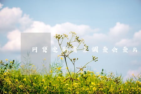 网贷逾期背景调查会查出来嘛 网贷逾期背景调查会查出来嘛