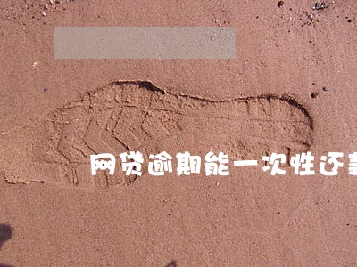 网贷逾期能一次性还款吗 网贷逾期能一次性还款吗