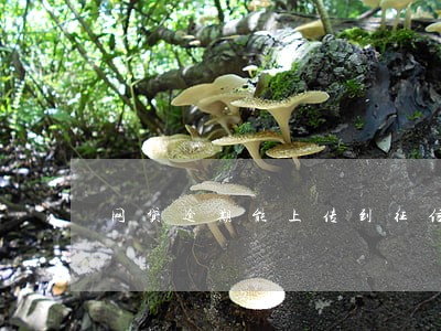 网贷逾期能上传到征信吗 网贷逾期能上传到征信吗