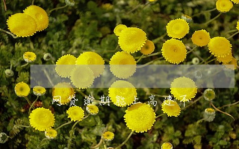 网贷逾期能上高速不 网贷逾期能上高速不