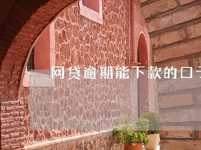 网贷逾期能下款的口子最新 网贷逾期能下款的口子最新