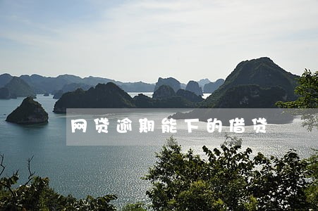 网贷逾期能下的借贷 网贷逾期能下的借贷