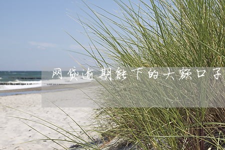网贷逾期能下的大额口子 网贷逾期能下的大额口子